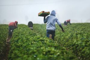 Read more about the article 10 Facts About Messa People